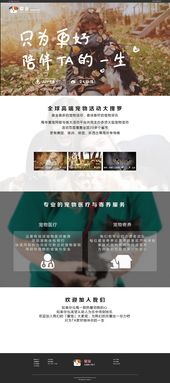 潛子寵物 一個以愛為名的企業(yè)官網(wǎng)設(shè)計之旅
